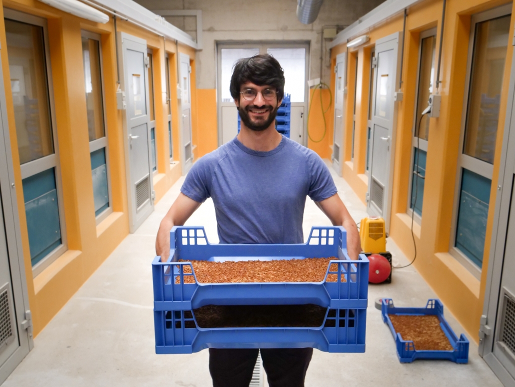 Lowimpact Food transforme des vers de farine en poudre ultra-protéinée