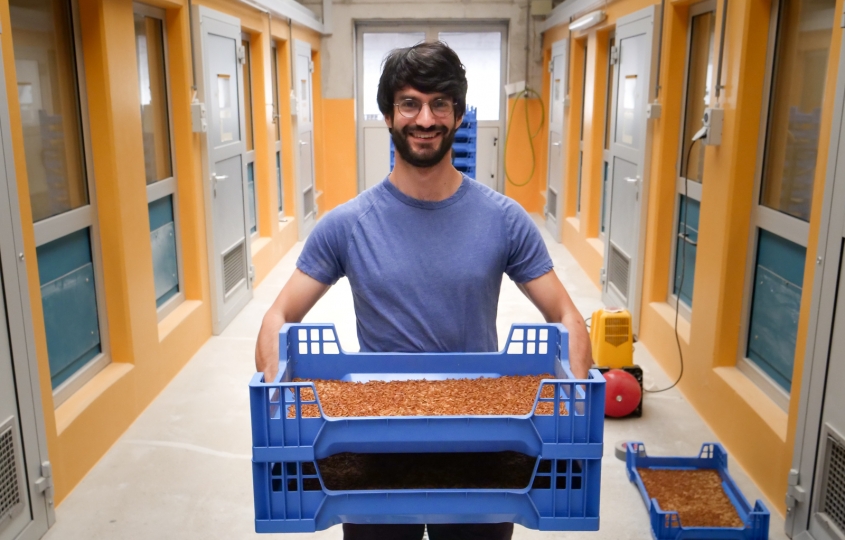 Lowimpact Food transforme des vers de farine en poudre ultra-protéinée