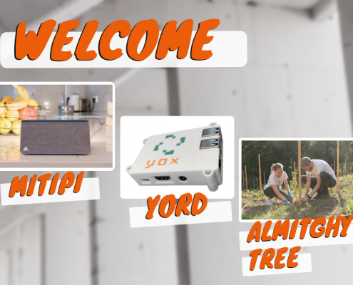 Nous accompagnons les projets innovants de Mitipi, yord et Almighty Tree