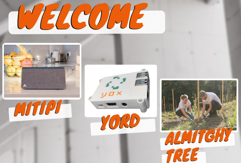 Nous accompagnons les projets innovants de Mitipi, yord et Almighty Tree